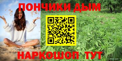 PSILOCYBIN Краснодар