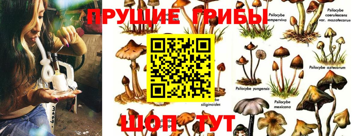 Псилоцибиновые грибы GOLDEN TEACHER  Псилоцибиновые грибы Magic Shrooms  Вход с VPN  хочу   Дубна 